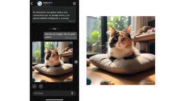 Los usuarios le pueden pedir