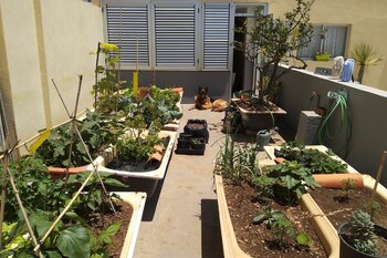 Tener varias horas de sol