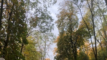 La Alhambra limita el acceso