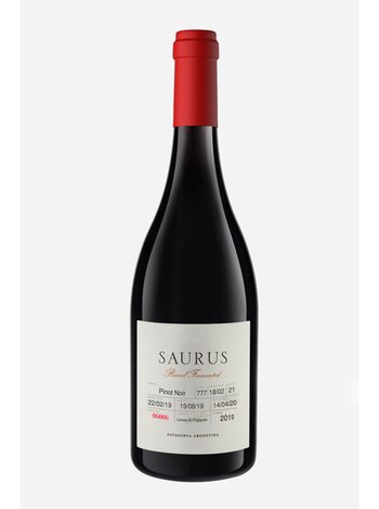 La provincia de Neuquén lidera