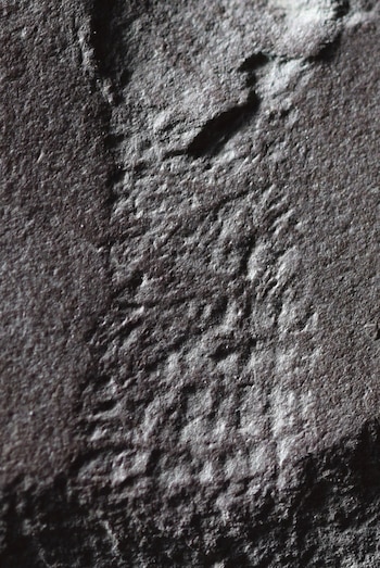 El hallazgo en la Formación