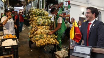 Alerta de contaminación en alimentos