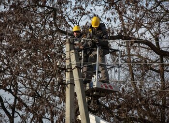 Los continuos ataques brutales de