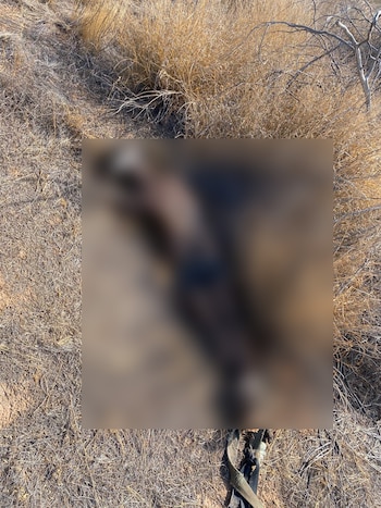 La madre buscadora agradeció a