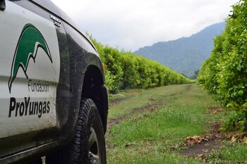 El presidente de la Fundación