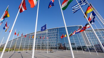 Los aliados expresan su confianza