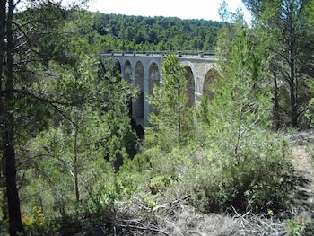 Un puente con arcos rodeado de árboles en un valle.