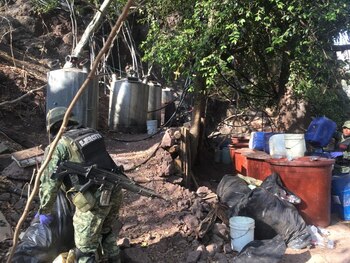 Todo lo asegurado fue puesto