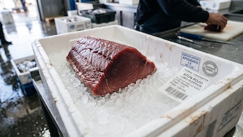 Retiran 151 kilos de atún en cinco estados de Estados Unidos por una toxina: cómo identificarlo y qué síntomas puede causar