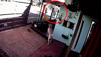 Horror en Misiones: un prestamista asesinó a tiros a un mecánico en medio de una discusión por una deuda
