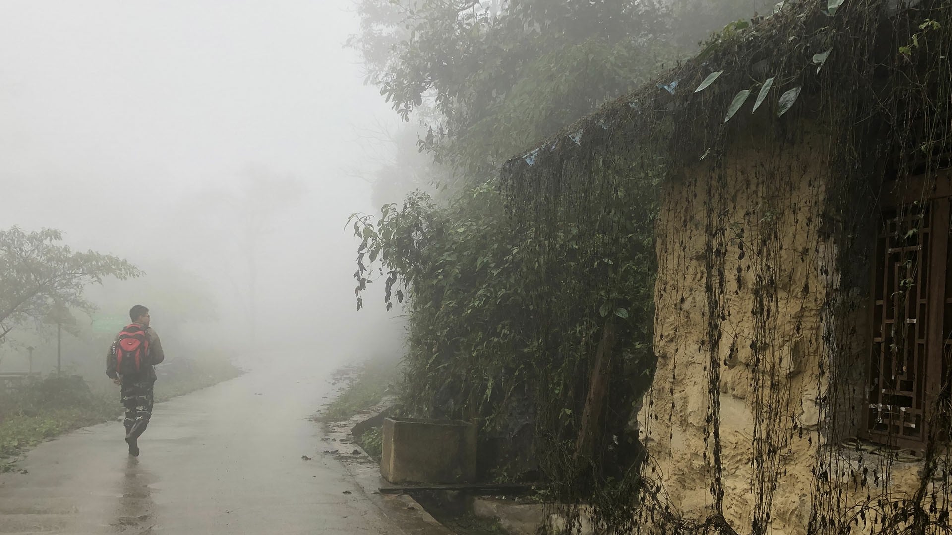Jing-Yi Lu, científico nacido en Taiwán, lideró el estudio que cambió la visión sobre la evolución floral en la vid de lápiz labial (Chih-Chieh Yu)