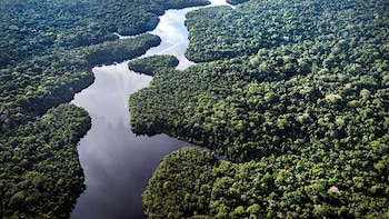 Degradación récord en la Amazonia: