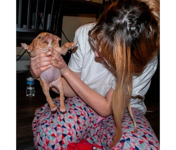 Cuando Ivy llegó a la