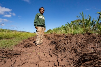Um homem parado em um campo com solo marrom rachado e plantas em decomposição sob um céu azul. Use um suéter verde com calças estampadas e leves