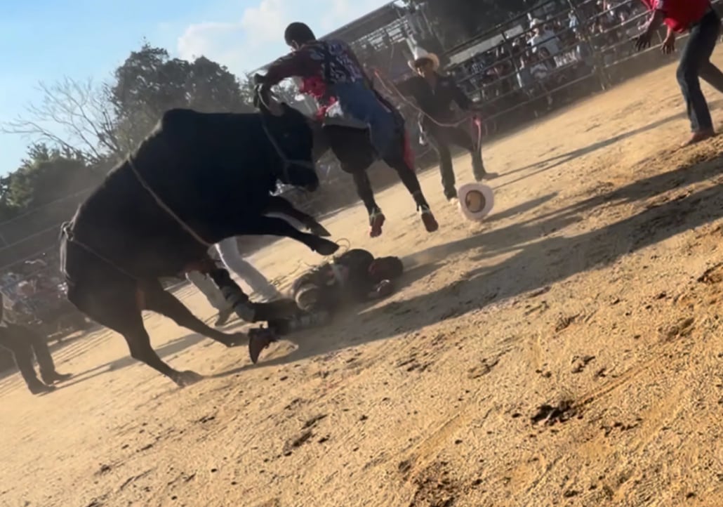 Un participante terminó gravemente herido tras un enfrentamiento con un toro en un espectáculo que no cumplía los requisitos legales de la ciudad (Osvaldo Sanchez)
