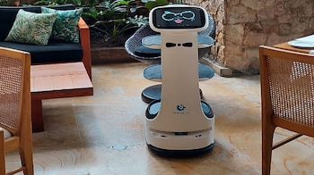 mesero Robot