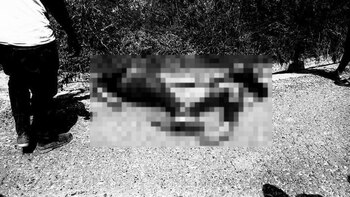 Los dos hombres fueron ultimados