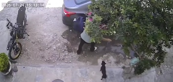 Tras revisar los hechos y entrevistar a la familia, las autoridades descartaron un secuestro, pero activaron protocolos de protección infantil.