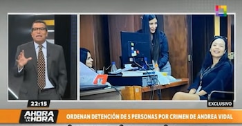 Caso Andrea Vidal: dictan detención