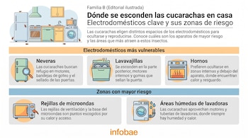 Electrodomésticos donde más se esconden las cucarachas