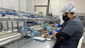 Sindicatos convocan huelgas en enero