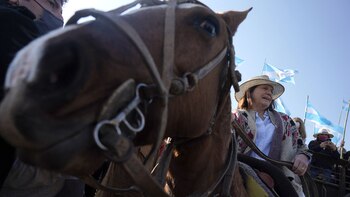 Patricia Bullrch (Franco Fafasuli)