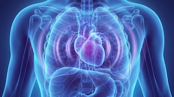 Modelo digital azul y transparente de un torso humano con la caja torácica, los pulmones y el corazón iluminado en el centro.