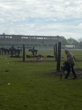 Un hombre corre con equipo ecuestre bajo la lluvia en un campo con caballos sobre el césped y tribunas al fondo