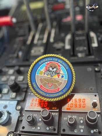 Las fuerzas del Escuadrón 911