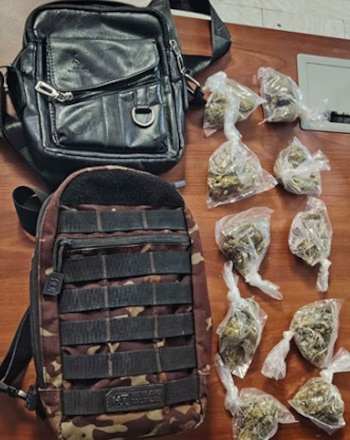 Durante el operativo, los agentes hallaron 10 bolsas con una sustancia con características de marihuana./ (Digitalmex.mx)
