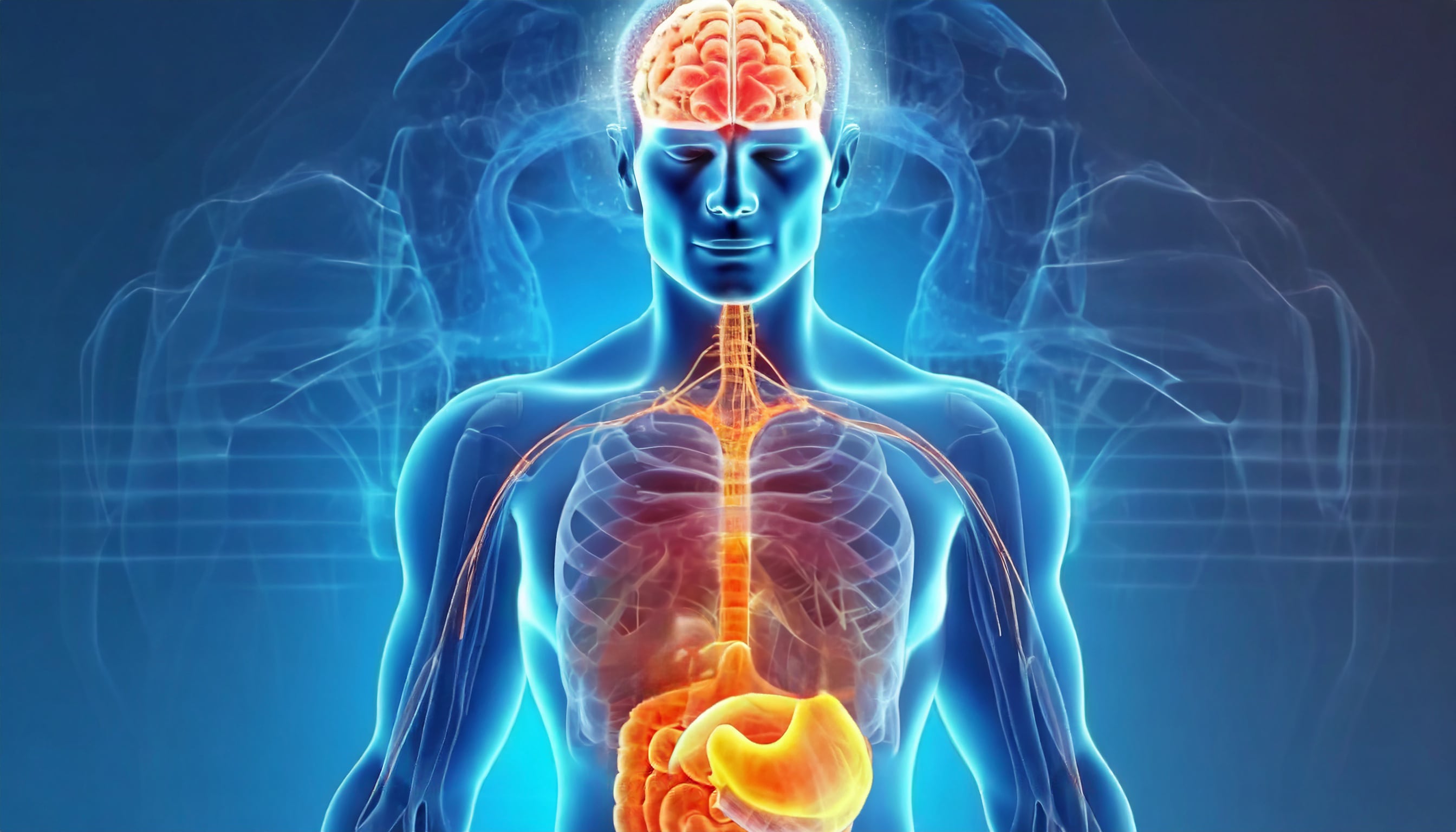 La Dra. Trisha Pasricha destaca la influencia del aparato digestivo, considerado el “segundo cerebro”, en la salud mental y la inmunidad (Imagen Ilustrativa Infobae)