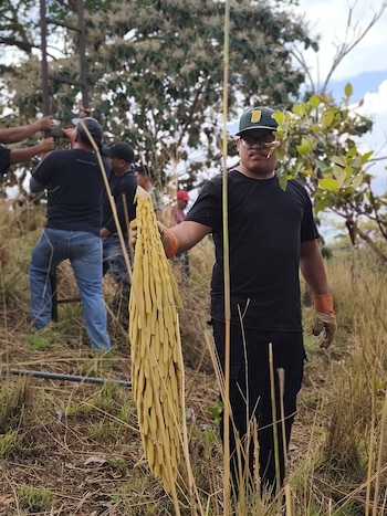 El aroma único de la flor de coyol impregna cada estación del viacrucis, reforzando la devoción y la memoria colectiva. (Cortesía: Legión de Soldados Romanos de Ilobasco Cabañas El Salvador)