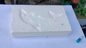 Los panes de cocaína llevaban