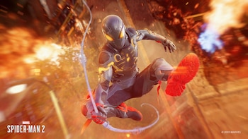 Existe una gran variedad de