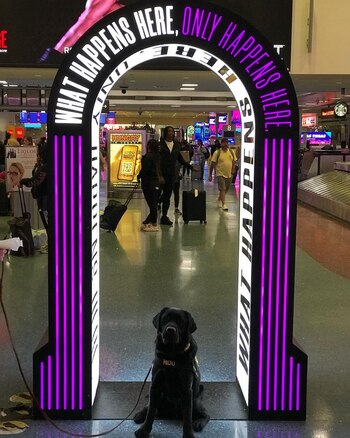 "Hidu" fue pieza clave para