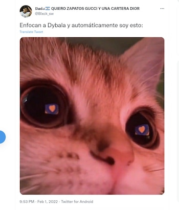 MEMES ARGENTINA COLOMBIA