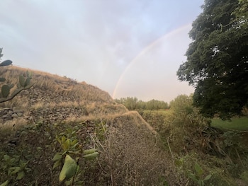 Un arcoíris aparece en el cielo gris. Hay una colina con pasto seco y rocas, varios arbustos verdes y árboles en un paisaje abierto