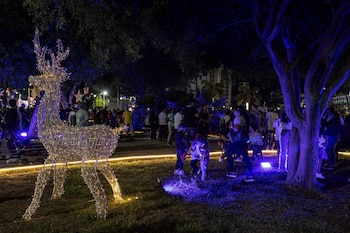 Una actividad navideña este miércoles,