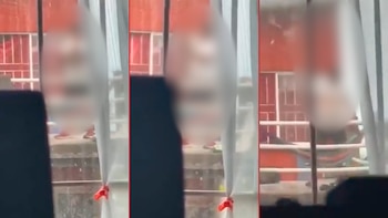 Activistas piden que se imparta