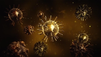 Los primeros coronavirus surgieron hace más de 50 millones de años: UNAM