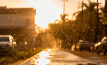 El Pronóstico del Estado del Clima
