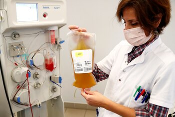 Estudios anteriores de plasma aplicado