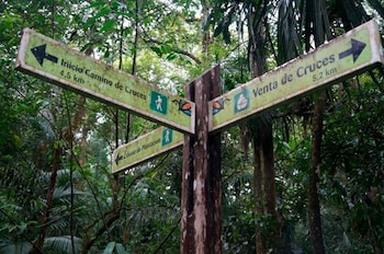 El Parque Nacional Camino de Cruces es frecuentado por senderistas y amantes de la naturaleza por sus recorridos entre bosques tropicales y su cercanía con la ciudad de Panamá. Tomada de www.globalnationalparks.com