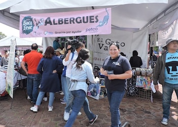 Una reportera con micrófono y logo FIA, un camarógrafo y varias personas en un evento con carpas y un banner del Gato Fest sobre albergues