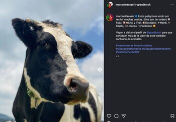 (Captura de pantalla)