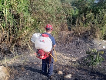 En Huila, las altas temperaturas y la reducción de las lluvias dejaron 161 emergencias por incendios de cobertura vegetal en 22 municipios - crédito Cuerpo Bomberos Campoalegre Huila