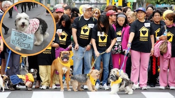 Caminata Huellas 4k: convocan a