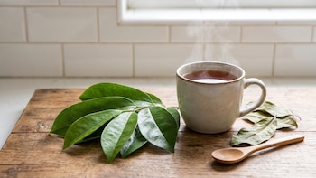 Beneficios de la infusión de hojas de guanábana: para qué sirve y cómo puede ayudar a la salud