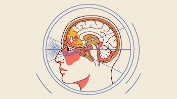 Ilustración en perfil de una cabeza humana con un cerebro detallado, zonas coloreadas de rojo detrás del ojo, flechas y líneas azules