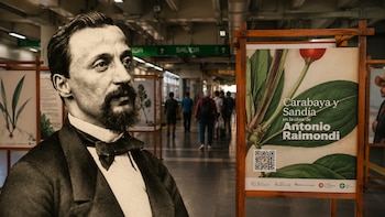 El metro de Lima se convierte en museo durante mayo: exhiben gratis las acuarelas de Antonio Raimondi en tres estaciones